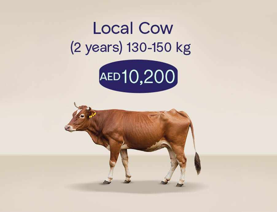 Udhiya_Website_tile_902x691_localcow_1_2ffda5c45b