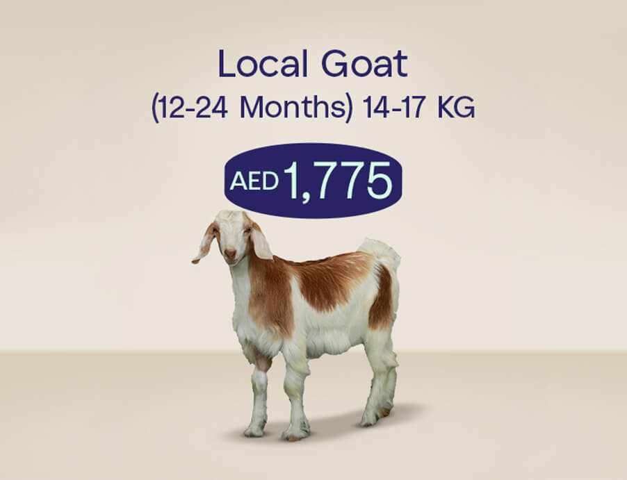 Udhiya_Website_tile_902x691_localgoat_1_410d0996c8